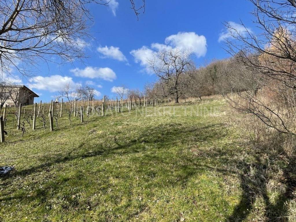 Oranica, Prodaja, Zagreb, Podsljeme