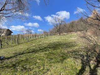 Oranica, Prodaja, Zagreb, Podsljeme