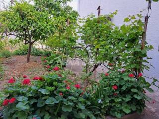 Samostojeća kuća, Prodaja, Vir, Vir