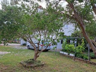 Samostojeća kuća, Prodaja, Vir, Vir