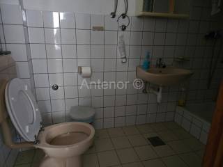Dvojna kuća, Prodaja, Vrsi, Zukve