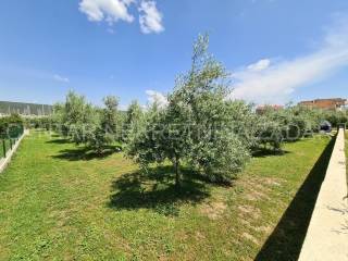 Građevinsko zemljište, Prodaja, Bibinje, Bibinje