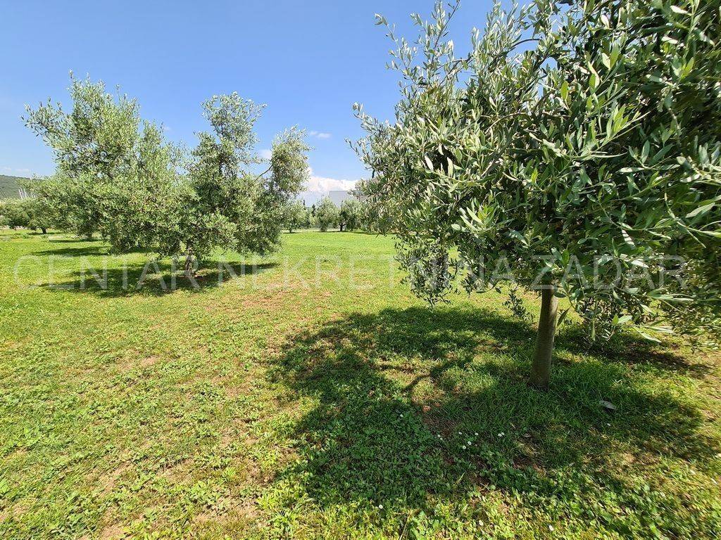 Građevinsko zemljište, Prodaja, Bibinje, Bibinje