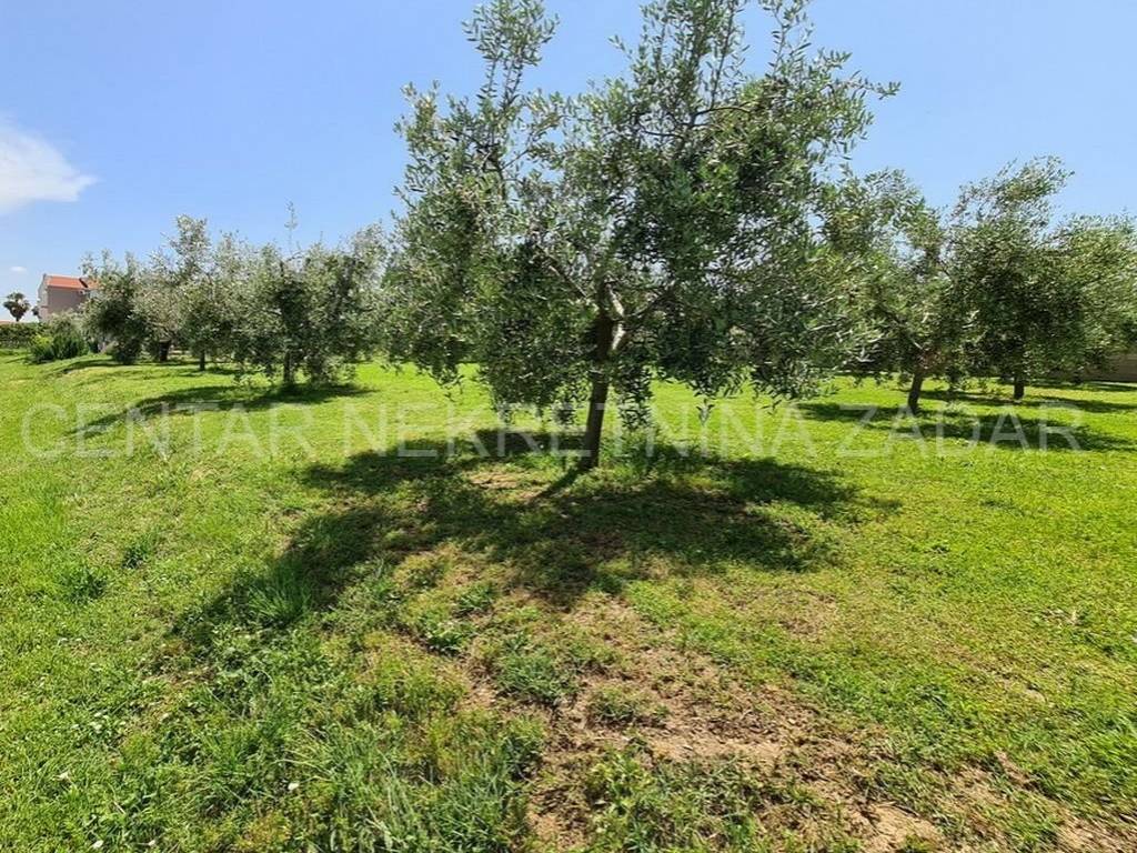 Građevinsko zemljište, Prodaja, Bibinje, Bibinje