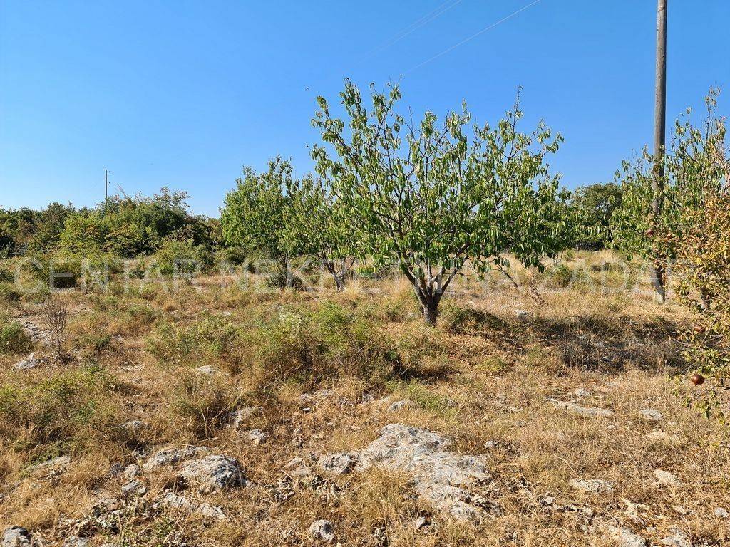 Građevinsko M1, Prodaja, Polača, Polača