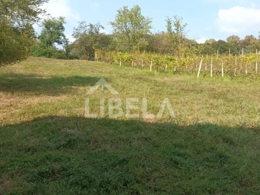 Poljoprivredno zemljište, Prodaja, Kutina, Kutina