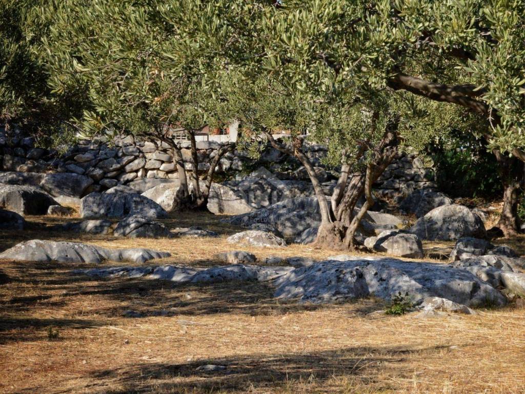 Građevinsko zemljište, Prodaja, Trogir - Okolica, Plano