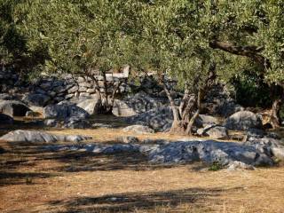 Građevinsko zemljište, Prodaja, Trogir - Okolica, Plano
