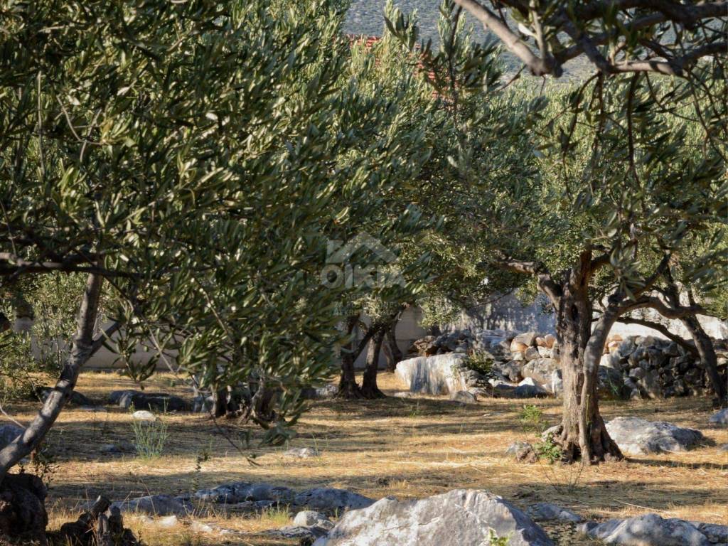 Građevinsko zemljište, Prodaja, Trogir - Okolica, Plano