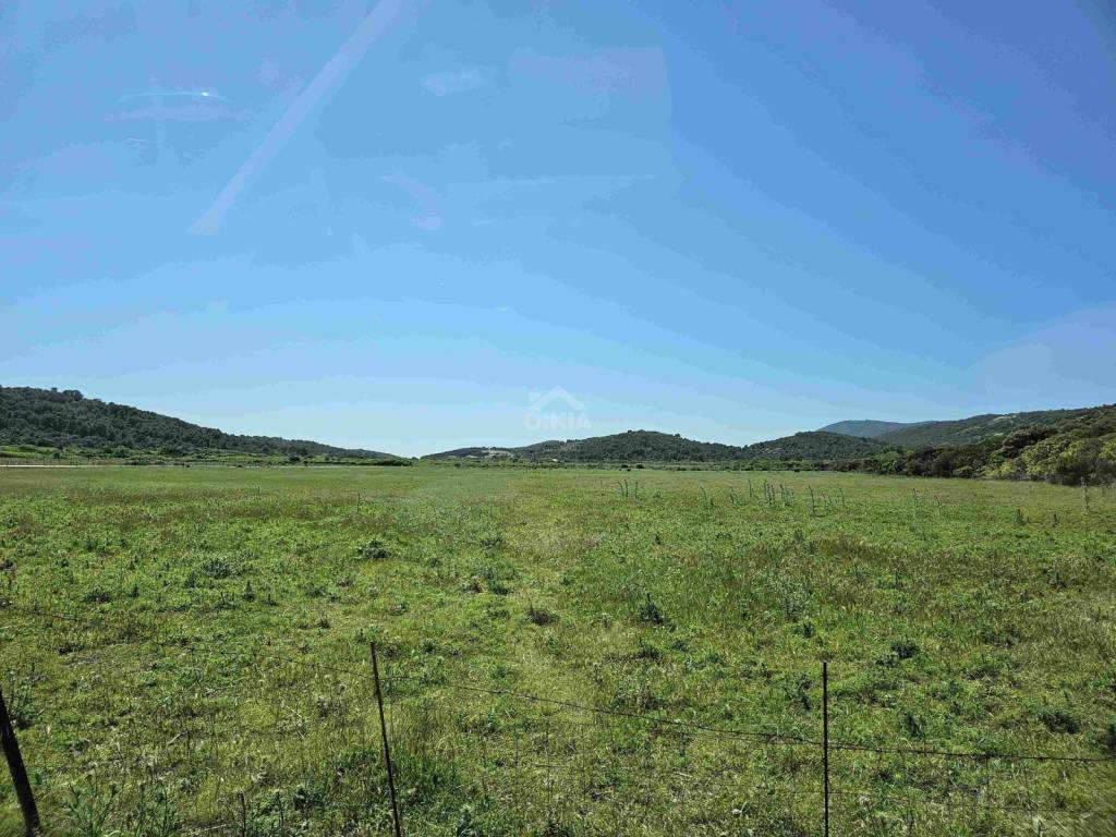 Poljoprivredno zemljište, Prodaja, Vis, Vis