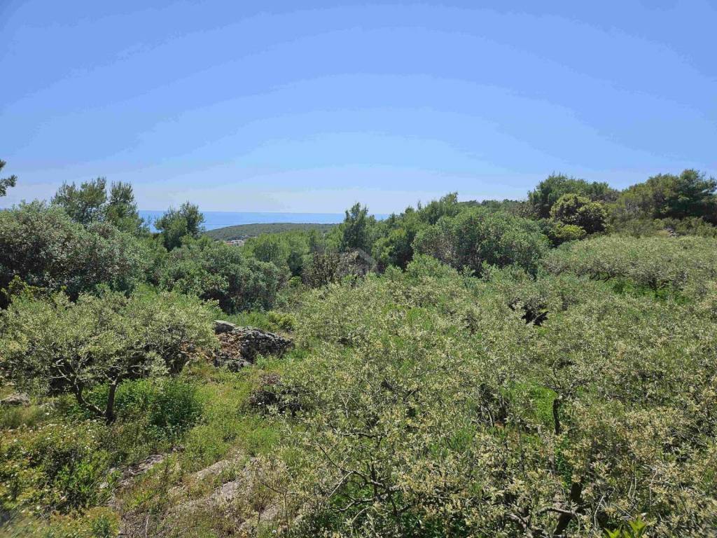 Poljoprivredno zemljište, Prodaja, Vis, Vis