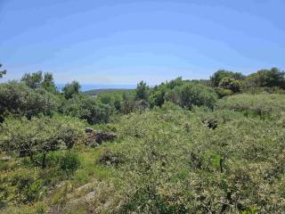 Poljoprivredno zemljište, Prodaja, Vis, Vis