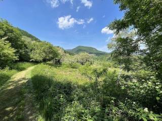 Meadow, Sale, Zagreb, Podsljeme