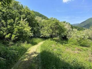 Meadow, Sale, Zagreb, Podsljeme