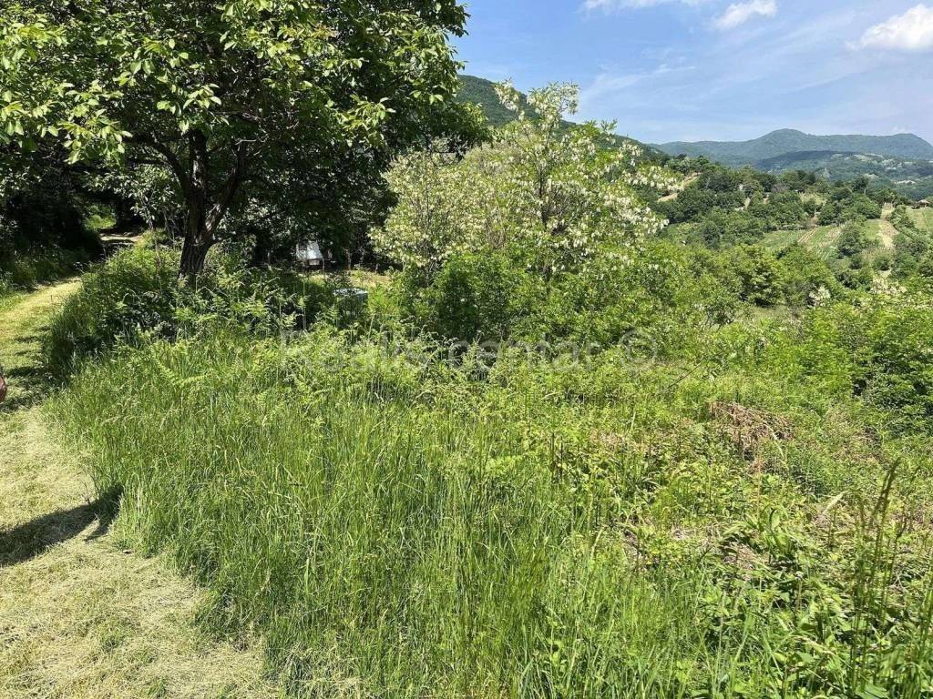 Meadow, Sale, Zagreb, Podsljeme
