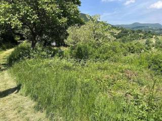 Meadow, Sale, Zagreb, Podsljeme