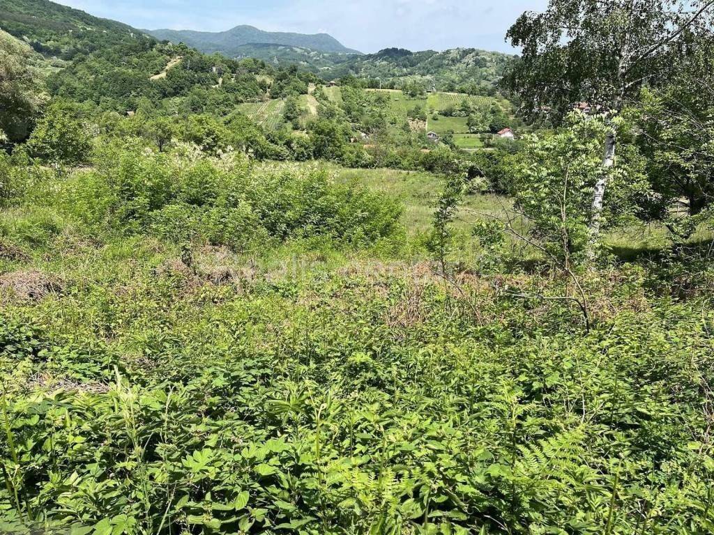 Meadow, Sale, Zagreb, Podsljeme