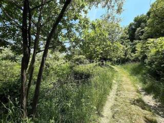Meadow, Sale, Zagreb, Podsljeme