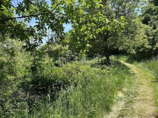 Meadow, Sale, Zagreb, Podsljeme