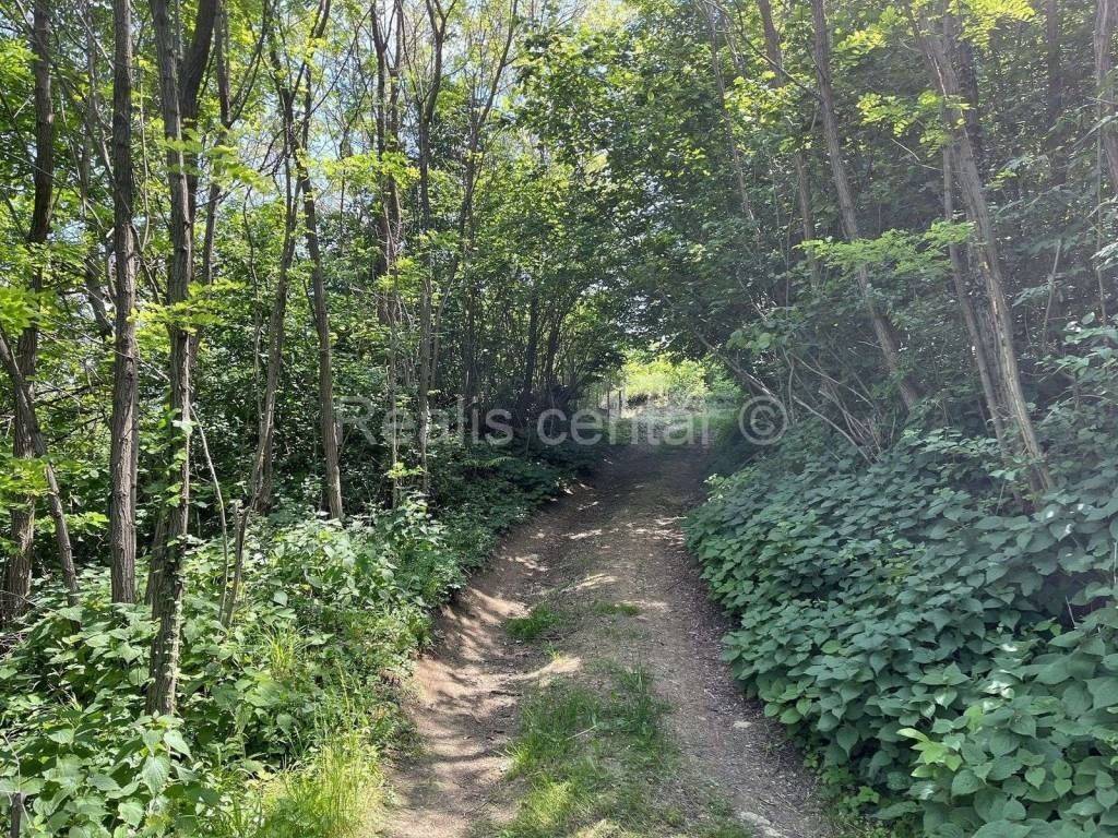 Meadow, Sale, Zagreb, Podsljeme