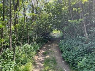 Meadow, Sale, Zagreb, Podsljeme