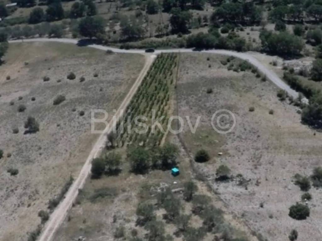 Građevinsko zemljište, Prodaja, Posedarje, Slivnica