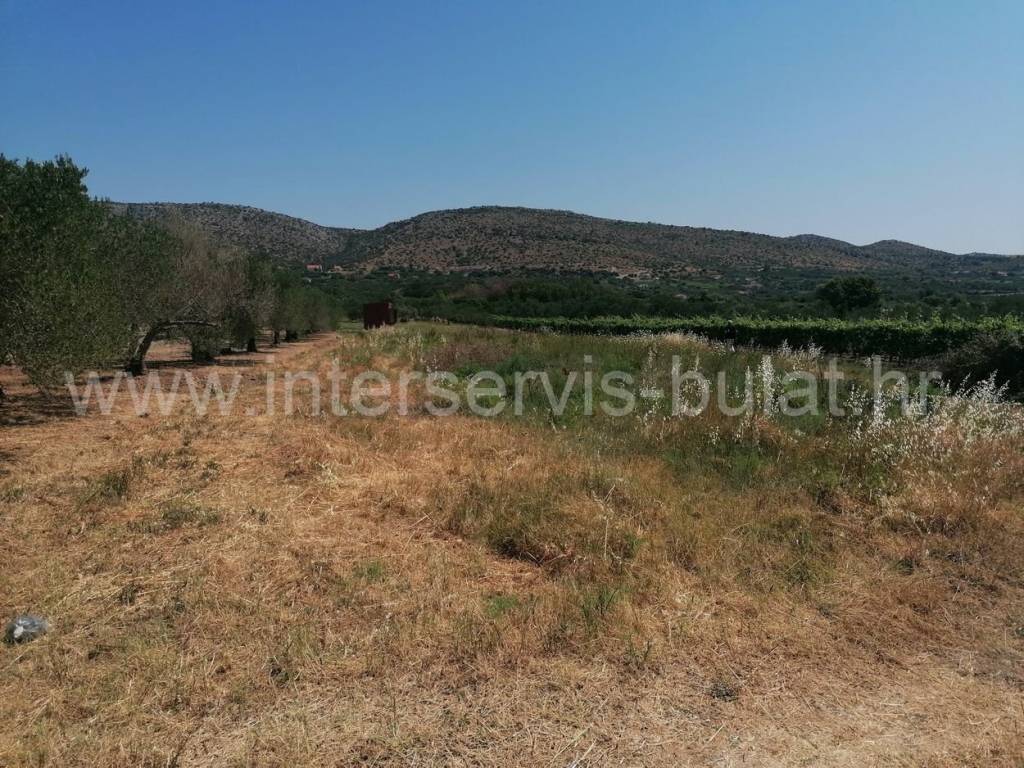 Poljoprivredno zemljište, Prodaja, Šibenik - Okolica, Donje Polje