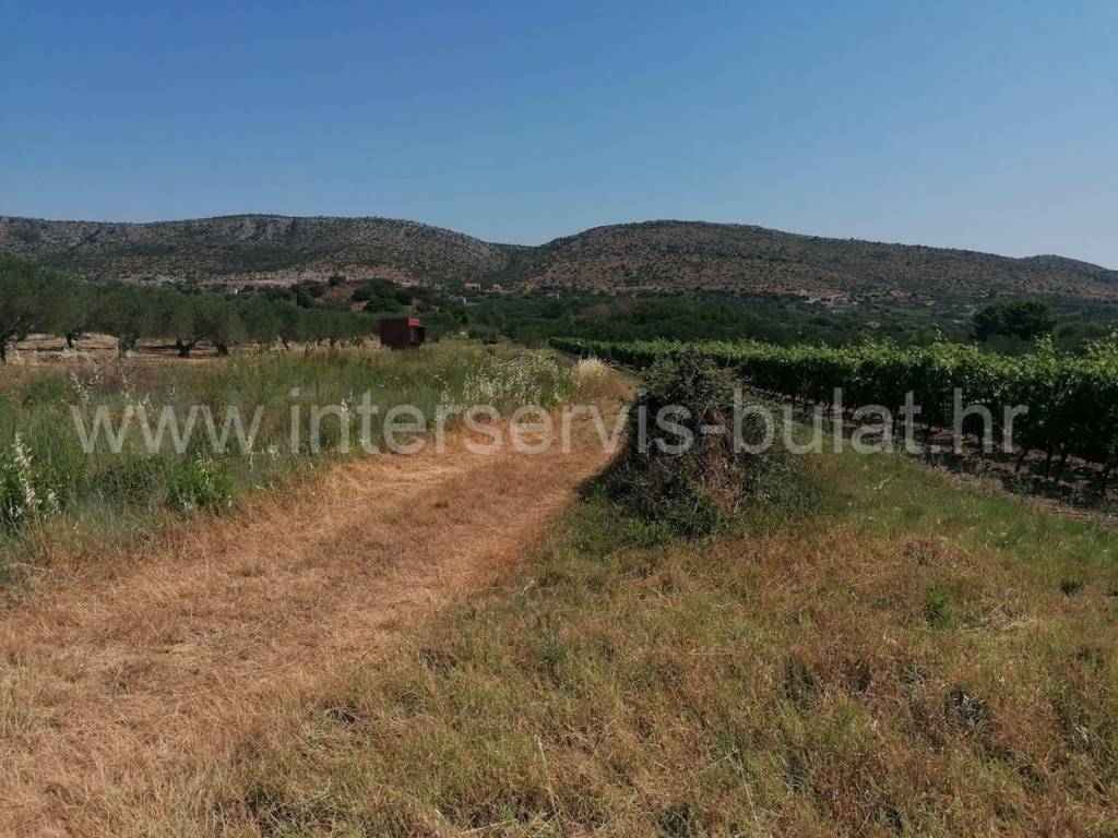 Poljoprivredno zemljište, Prodaja, Šibenik - Okolica, Donje Polje