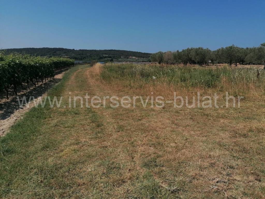 Poljoprivredno zemljište, Prodaja, Šibenik - Okolica, Donje Polje
