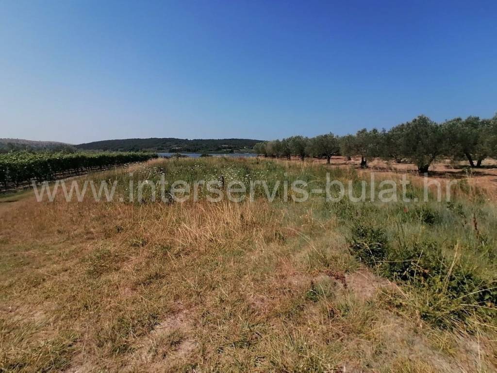 Poljoprivredno zemljište, Prodaja, Šibenik - Okolica, Donje Polje