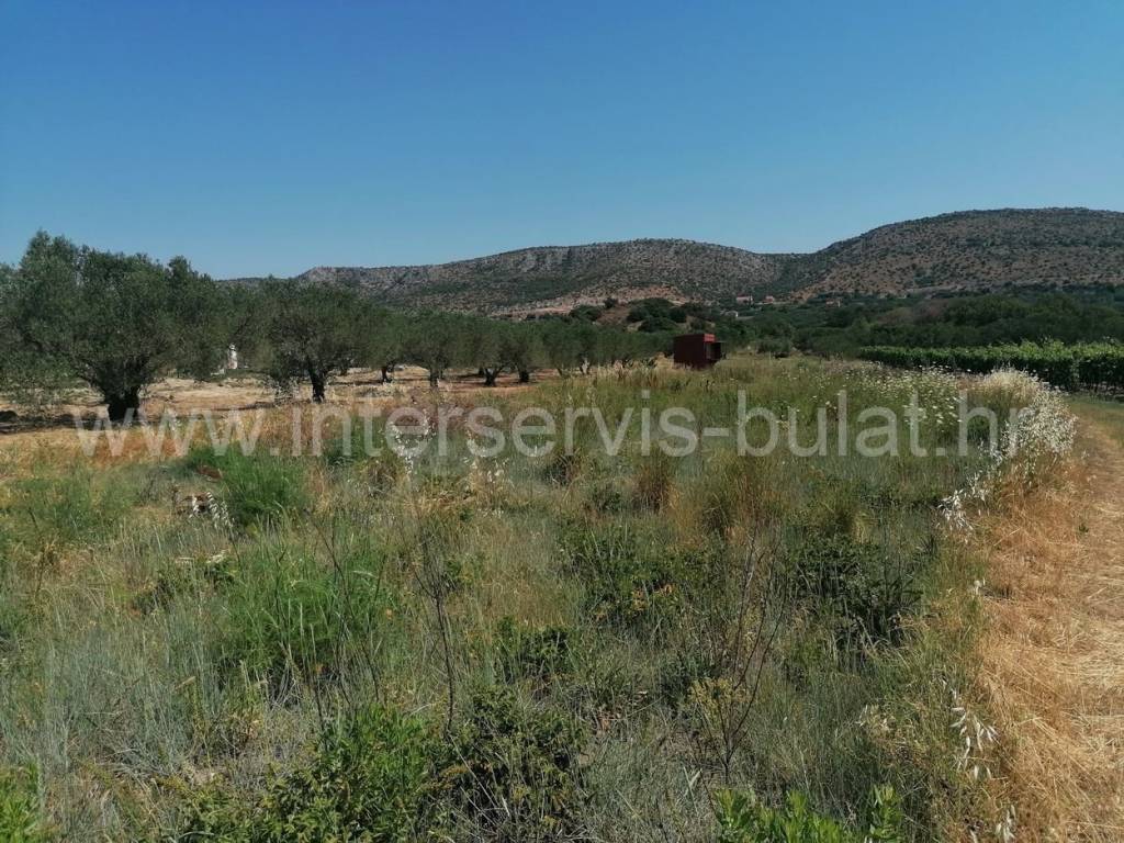 Poljoprivredno zemljište, Prodaja, Šibenik - Okolica, Donje Polje