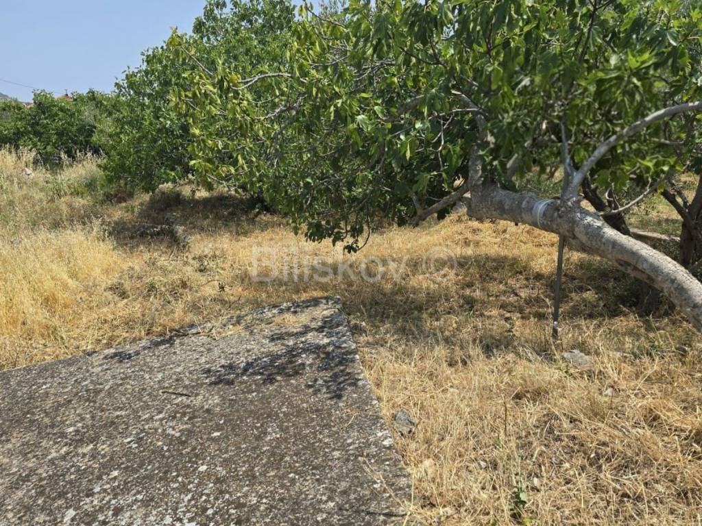 Oranica, Prodaja, Marina, Vinišće