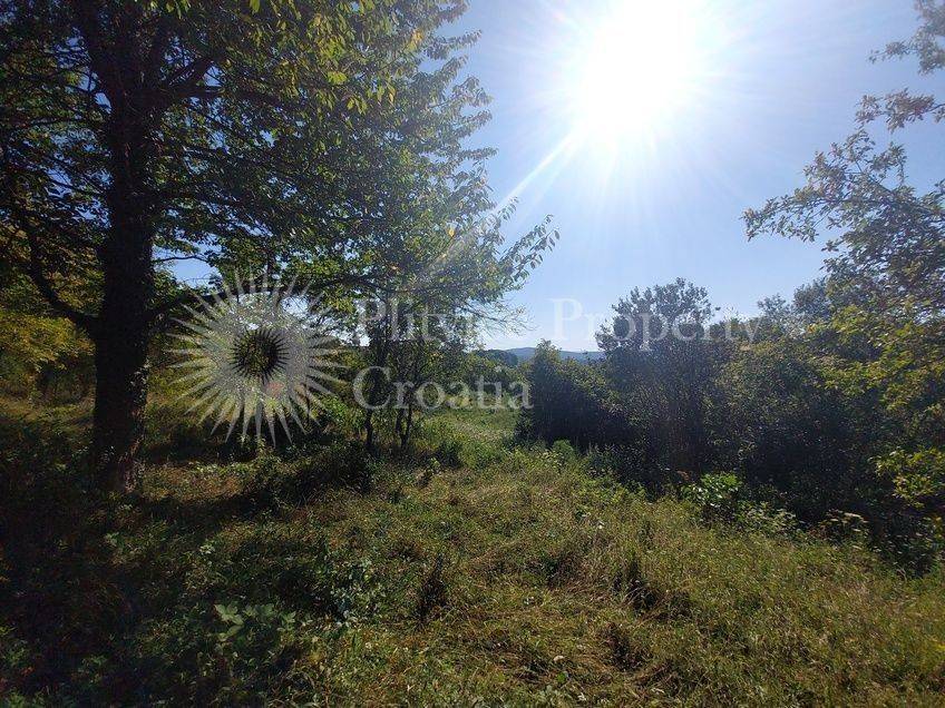 Obiteljska kuća, Prodaja, Slunj, Veljun