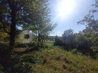 Obiteljska kuća, Prodaja, Slunj, Veljun