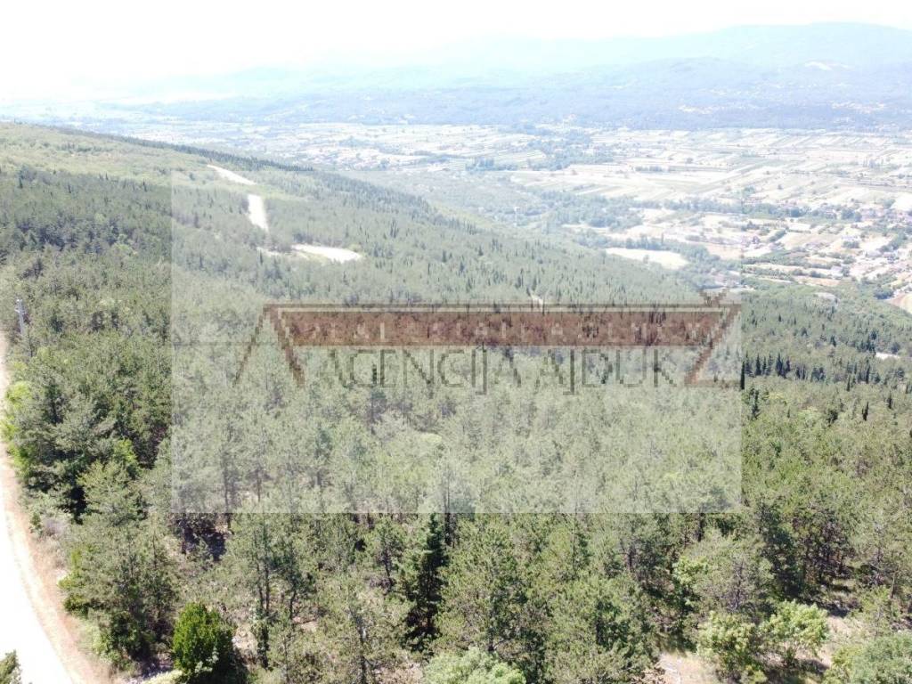 Imotski, Imotski