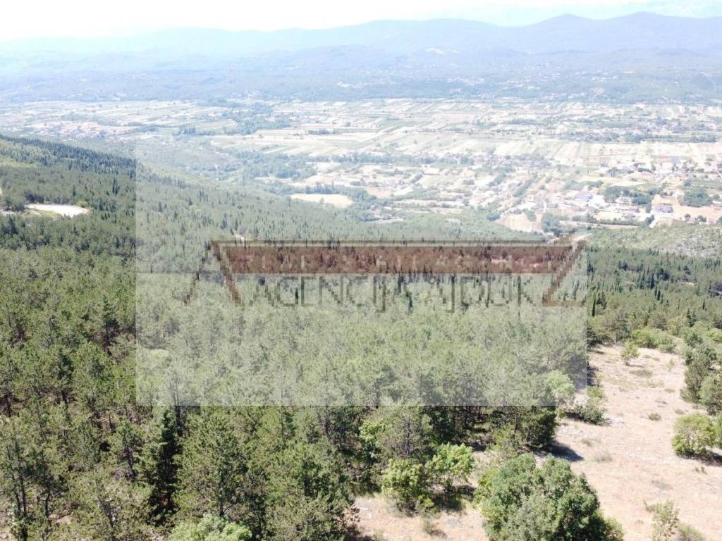 Imotski, Imotski