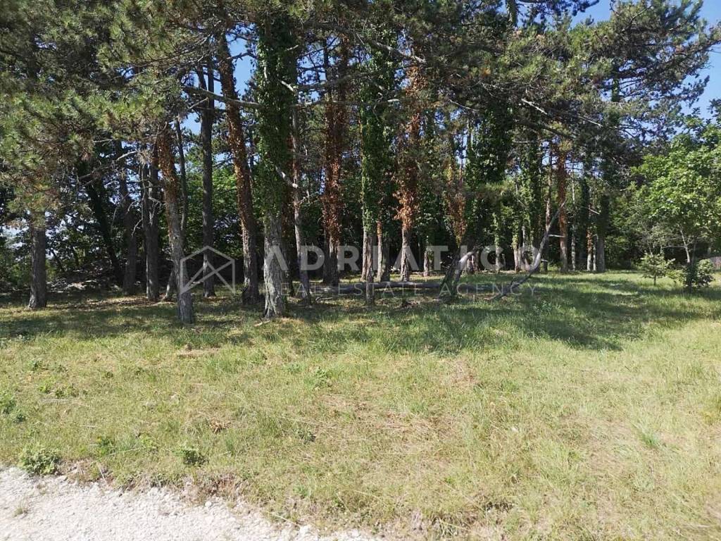 Građevinsko zemljište, Prodaja, Žminj, Žminj