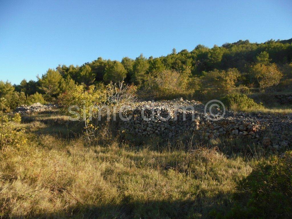 Poljoprivredno zemljište, Prodaja, Jelsa, Zastražišće