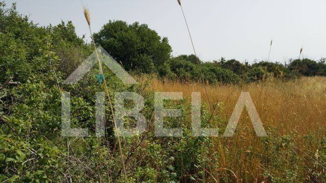 Poljoprivredno zemljište, Prodaja, Ližnjan, Ližnjan