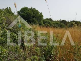 Poljoprivredno zemljište, Prodaja, Ližnjan, Ližnjan