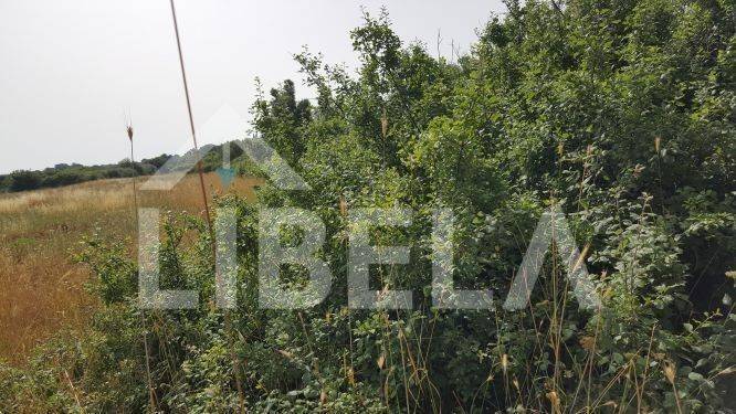 Poljoprivredno zemljište, Prodaja, Ližnjan, Ližnjan