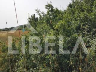 Poljoprivredno zemljište, Prodaja, Ližnjan, Ližnjan