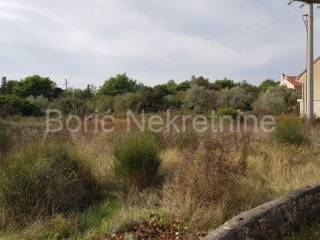 Poljoprivredno, Prodaja, Preko, Ugljan