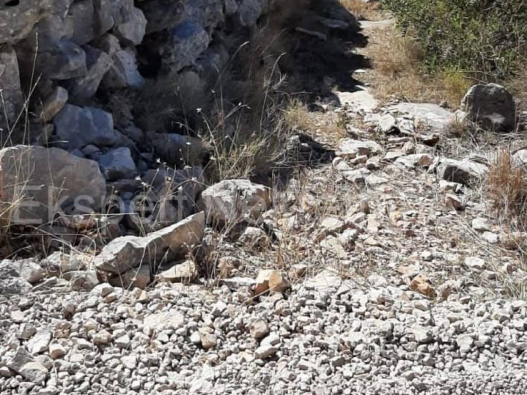 Poljoprivredno zemljište, Prodaja, Trogir - Okolica, Drvenik Veliki