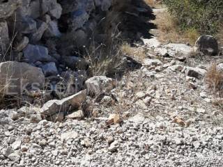 Poljoprivredno zemljište, Prodaja, Trogir - Okolica, Drvenik Veliki