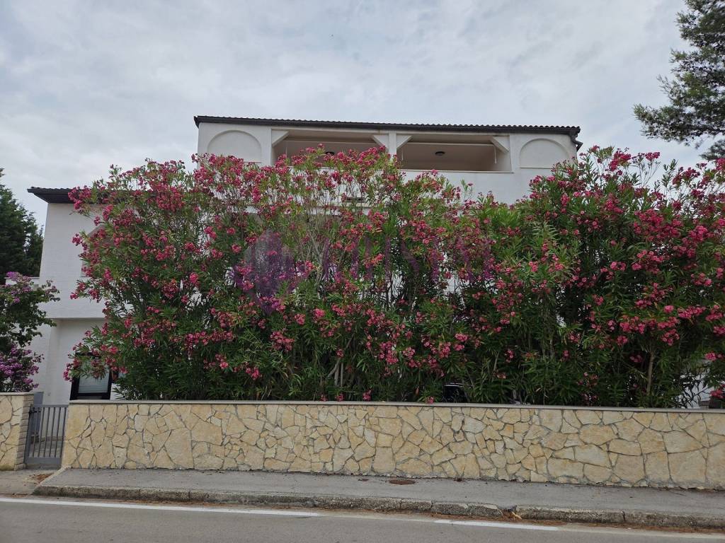 Apartmanska kuća, Prodaja, Novalja, Stara Novalja