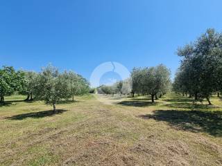 Kamena kuća, Prodaja, Poreč, Poreč