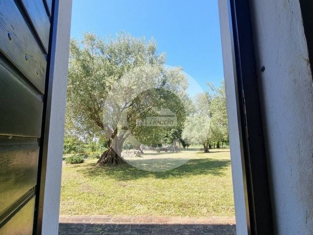 Kamena kuća, Prodaja, Poreč, Poreč