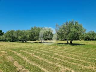 Građevinsko mješovito, Prodaja, Poreč, Poreč