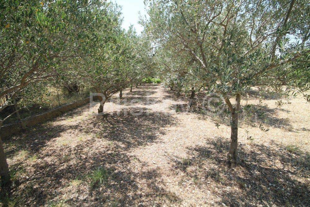 Samostojeća kuća, Prodaja, Trogir - Okolica, Plano